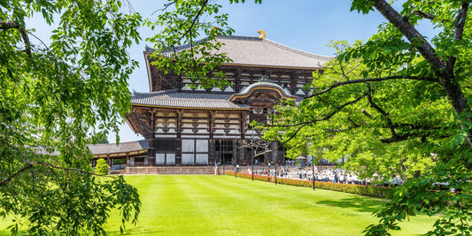 Omizutori : Une tradition millénaire et son impact sur la culture japonaise